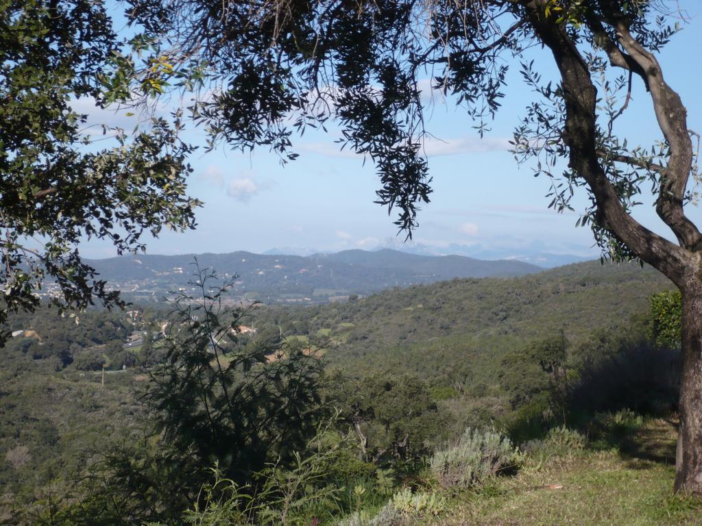 Villa Merveille Bormes-les-Mimosas Esterno foto